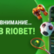 Фрибет без отыгрыша 5000 RUB в казино Riobet!